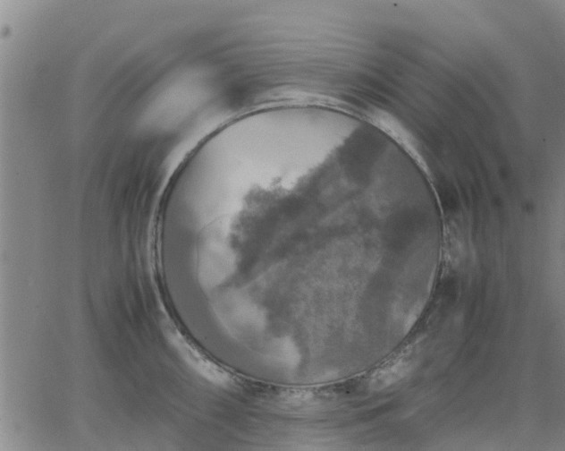 X0000063461098200601271558