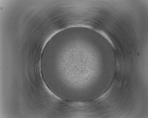 X0000063461100200601271558