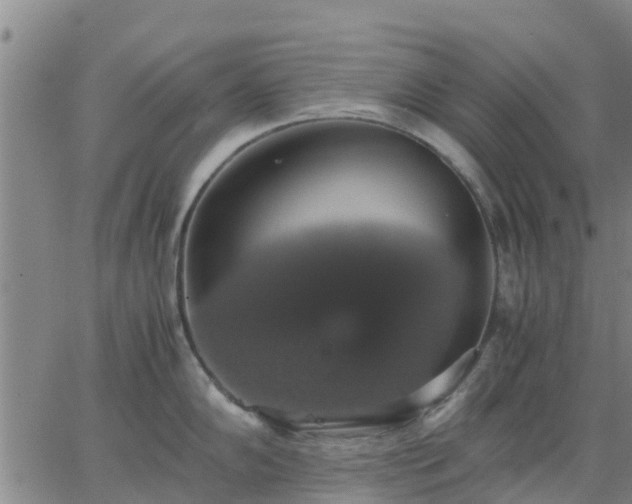 X0000063461102200601271558