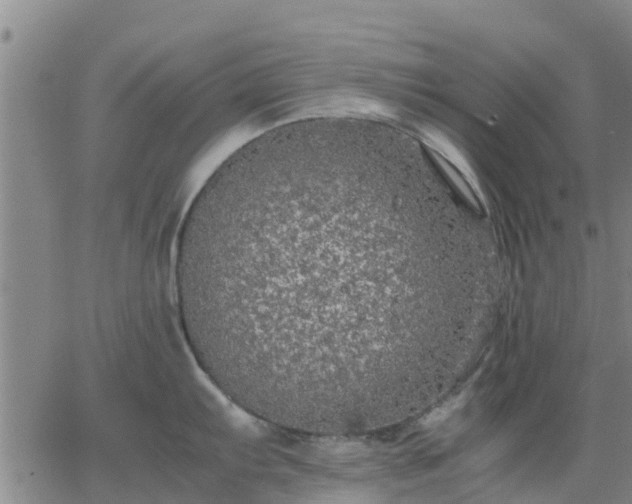 X0000063461103200601271558