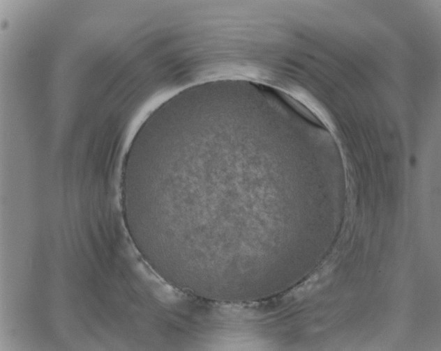 X0000063461104200601271558