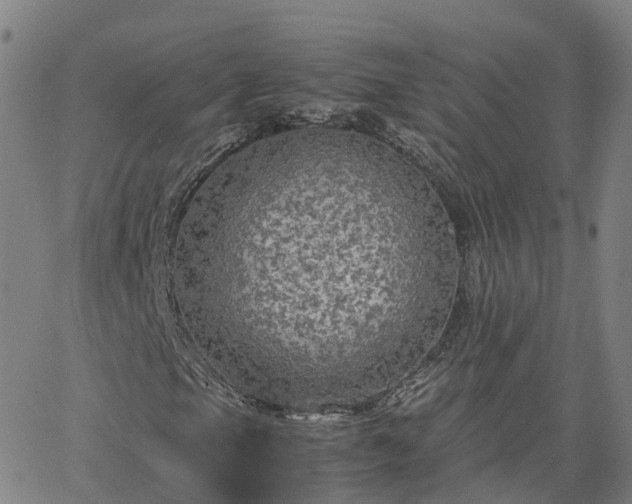 X0000063461105200601271557