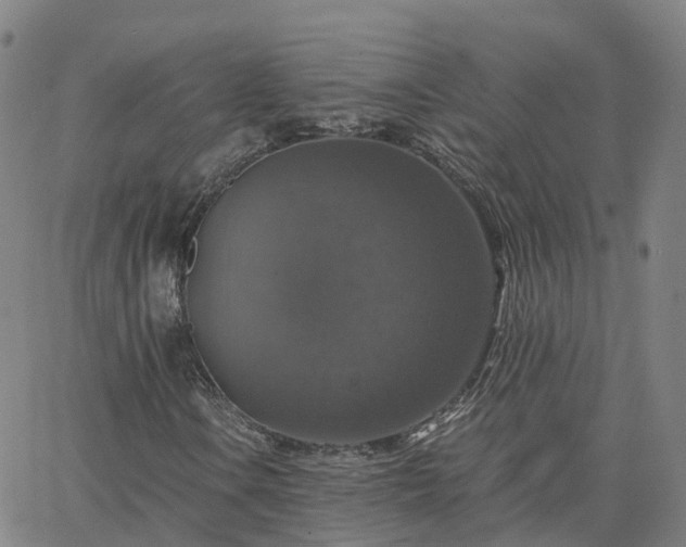 X0000063461106200601271557