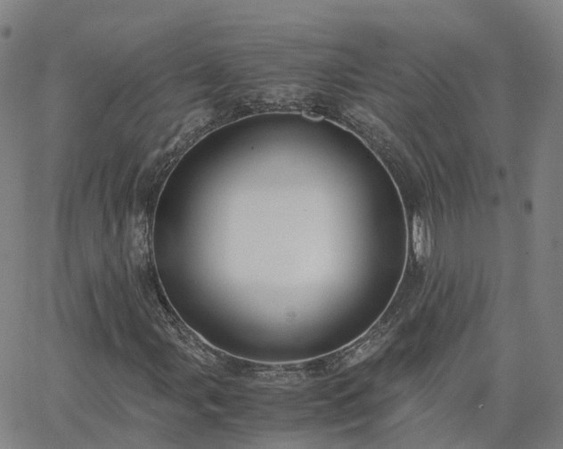 X0000063461107200601271557