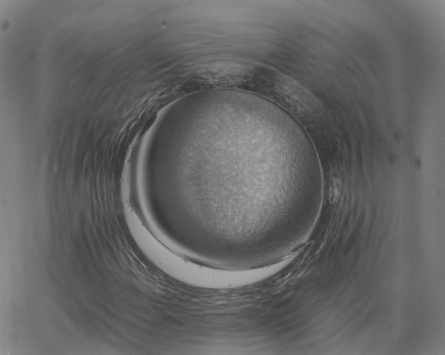 X0000063461108200601271557