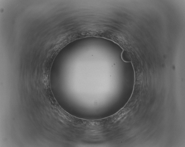 X0000063461109200601271557