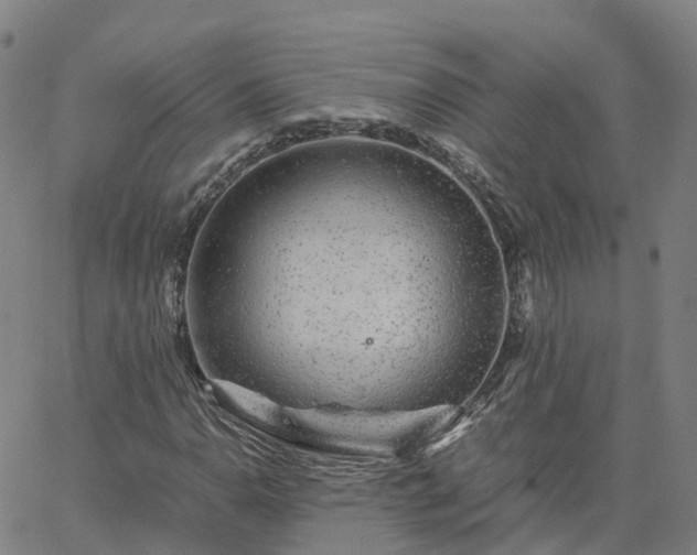 X0000063461110200601271557