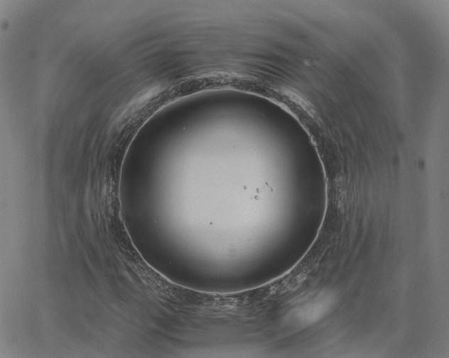 X0000063461111200601271557