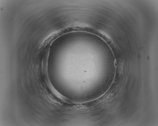 X0000063461112200601271557