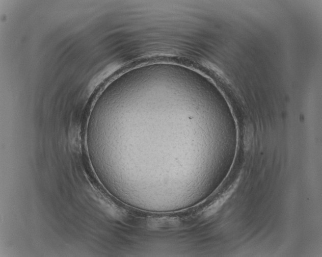 X0000063461113200601271557