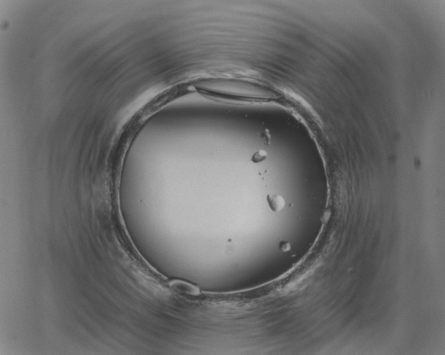 X0000063461114200601271557