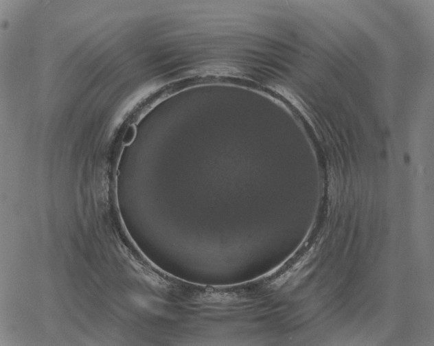 X0000063461115200601271557