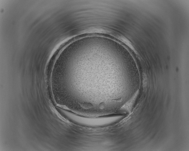 X0000063461116200601271557