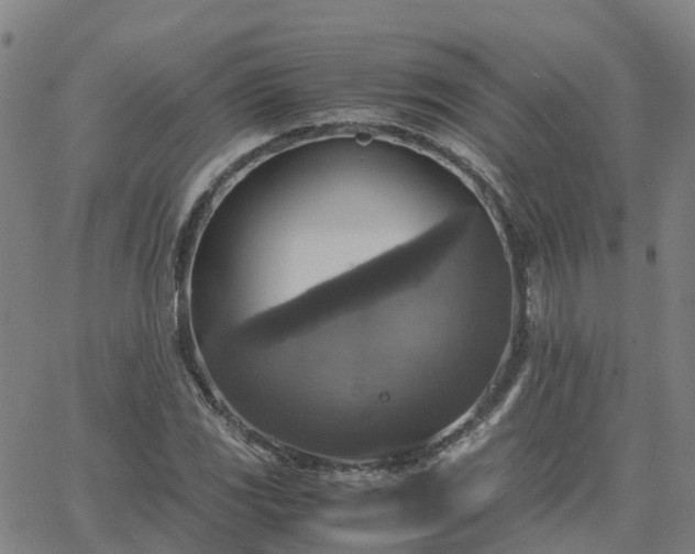 X0000063461117200601271557