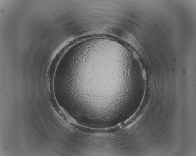 X0000063461118200601271557