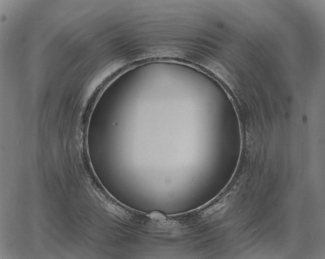 X0000063461119200601271557