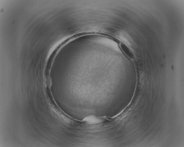 X0000063461120200601271557