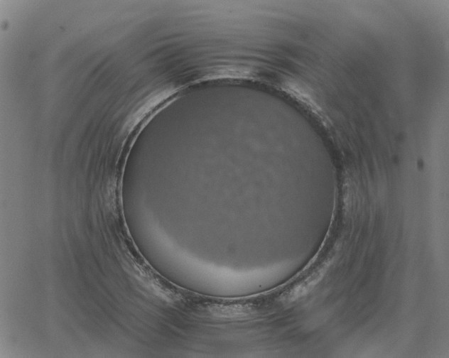 X0000063461121200601271557