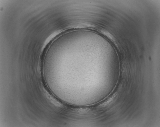 X0000063461122200601271557