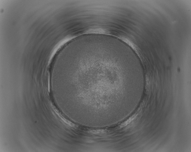 X0000063461123200601271557