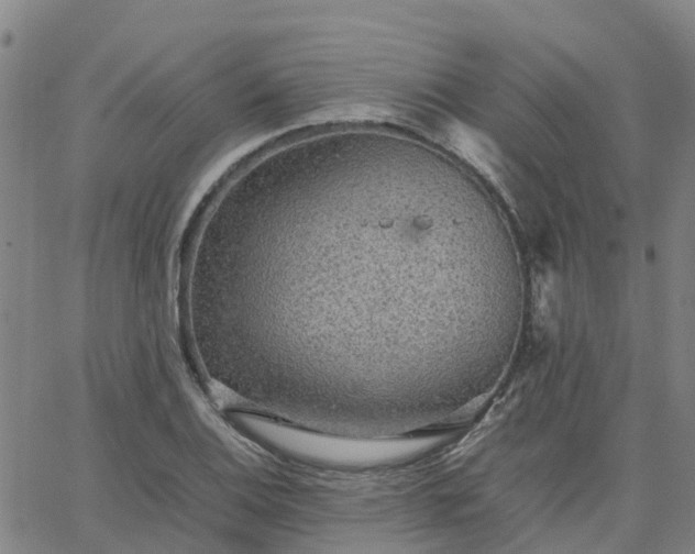 X0000063461124200601271557