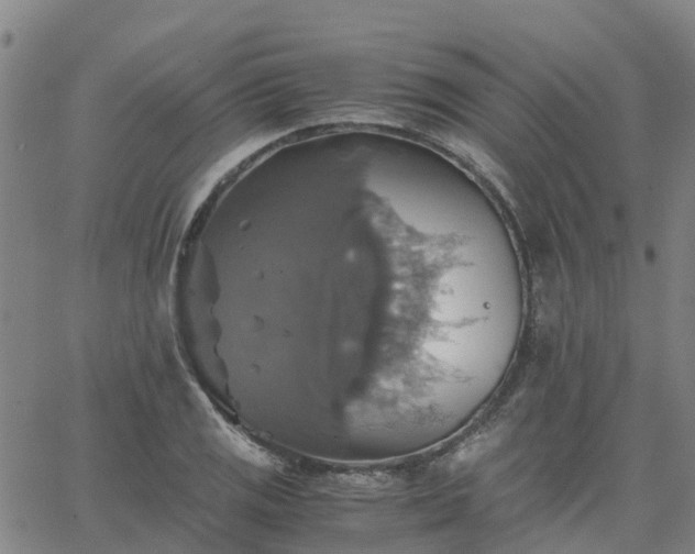 X0000063461125200601271557