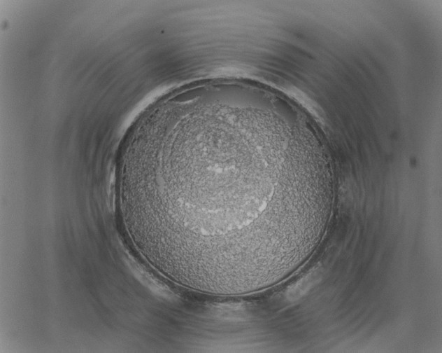 X0000063461126200601271557