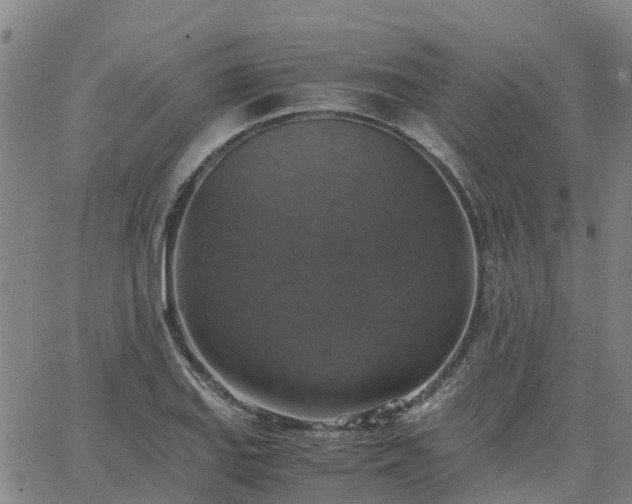 X0000063461127200601271557