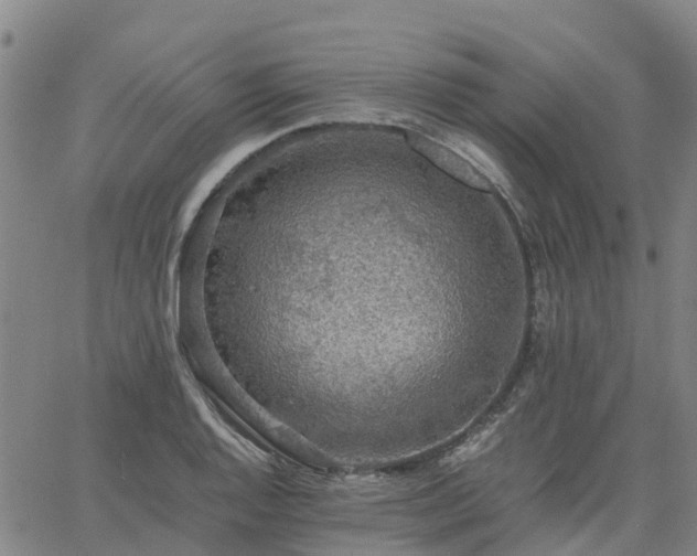 X0000063461128200601271557