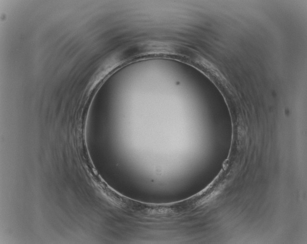 X0000063461129200601271557