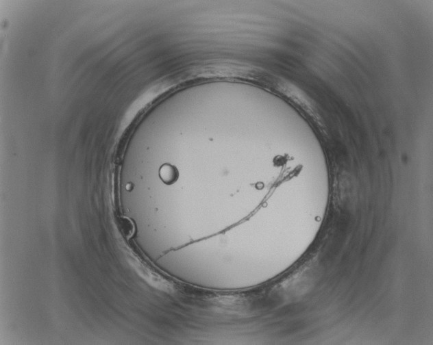 X0000063461130200601271557