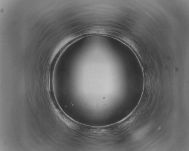 X0000063461131200601271557