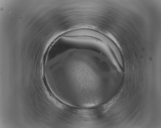 X0000063461132200601271557