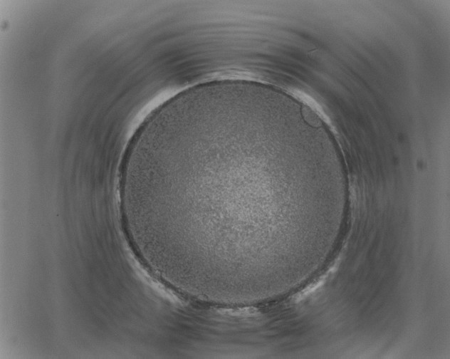 X0000063461133200601271557