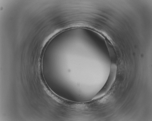 X0000063461134200601271557