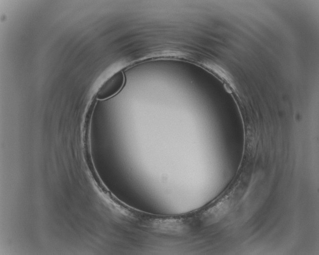 X0000063461135200601271557