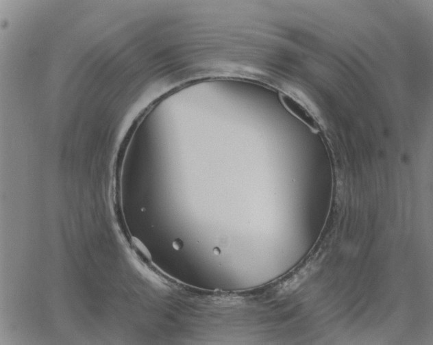 X0000063461136200601271557