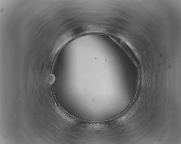 X0000063461137200601271557