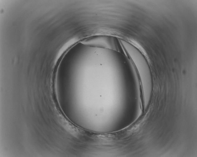 X0000063461138200601271557