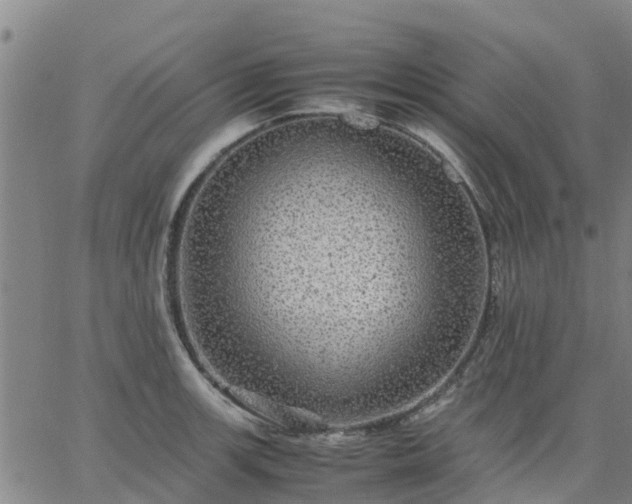 X0000063461139200601271558