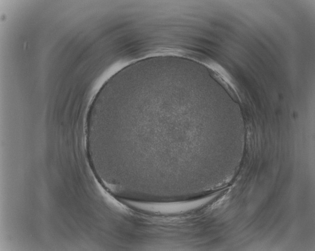 X0000063461143200601271558