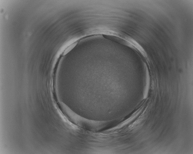 X0000063461144200601271558