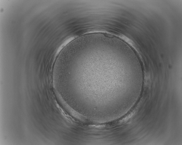 X0000063461145200601271558