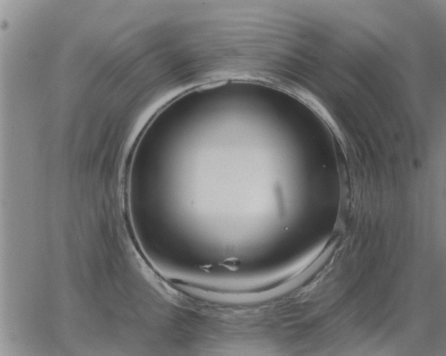 X0000063461148200601271558