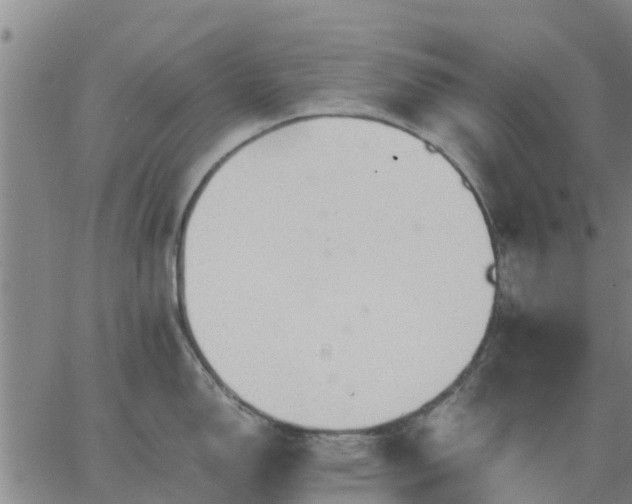 X0000063461150200601271558