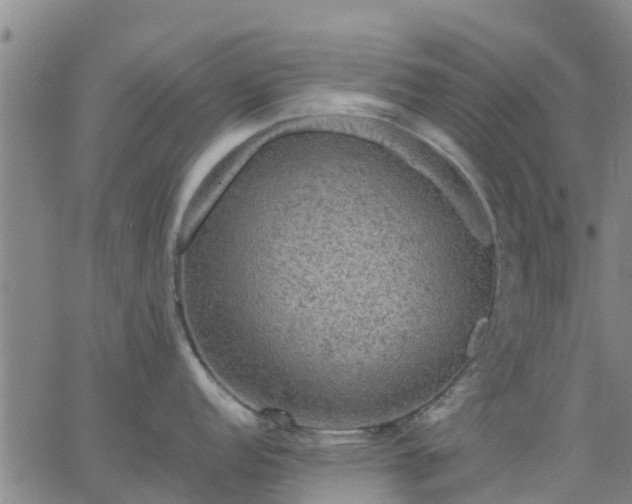 X0000063461152200601271558