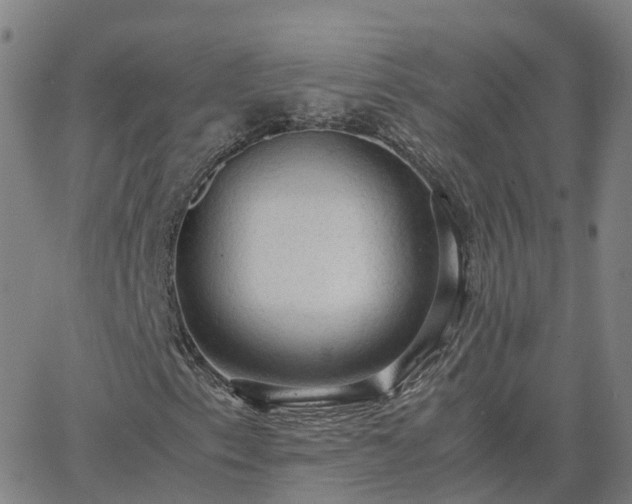 X0000063461153200601271557