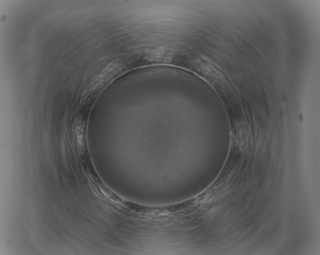 X0000063461154200601271557