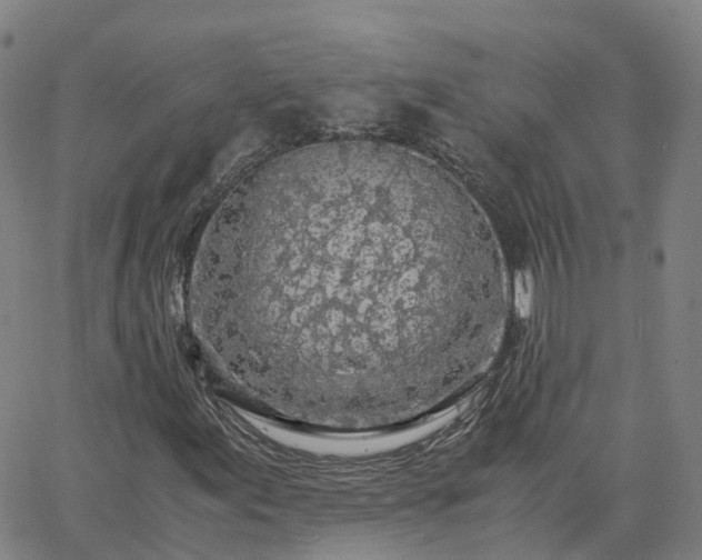 X0000063461155200601271557