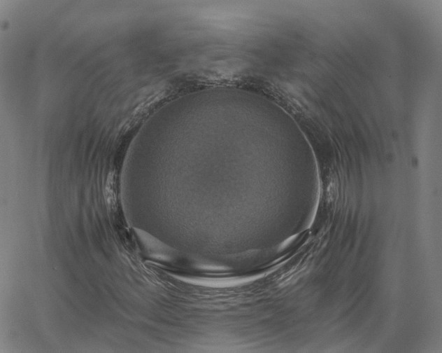 X0000063461156200601271557